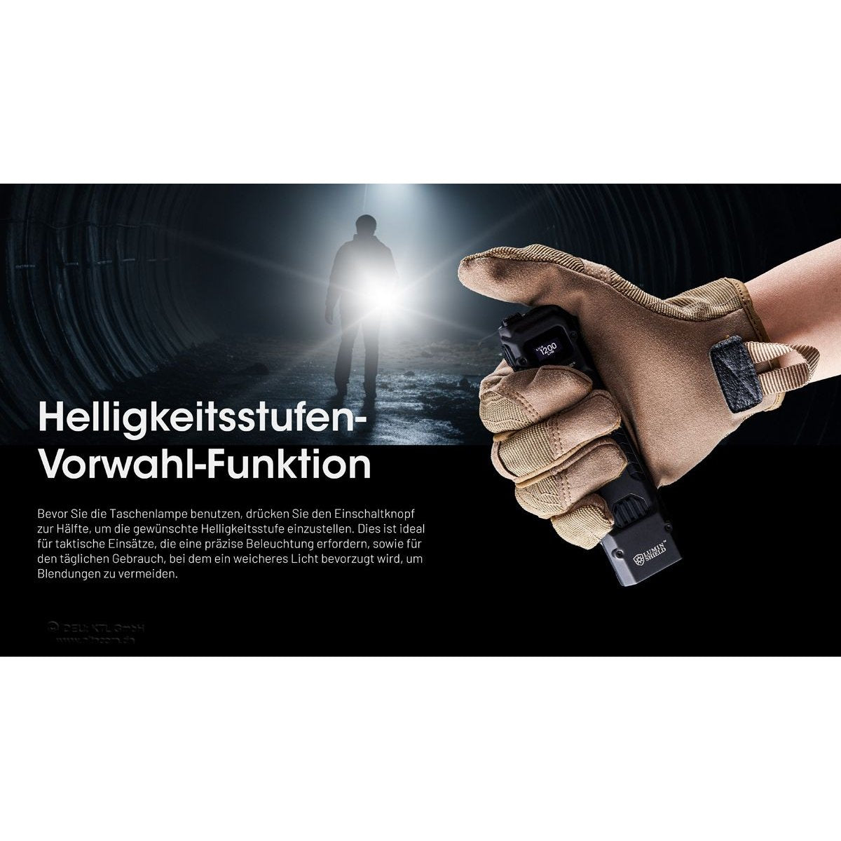 beschreibung